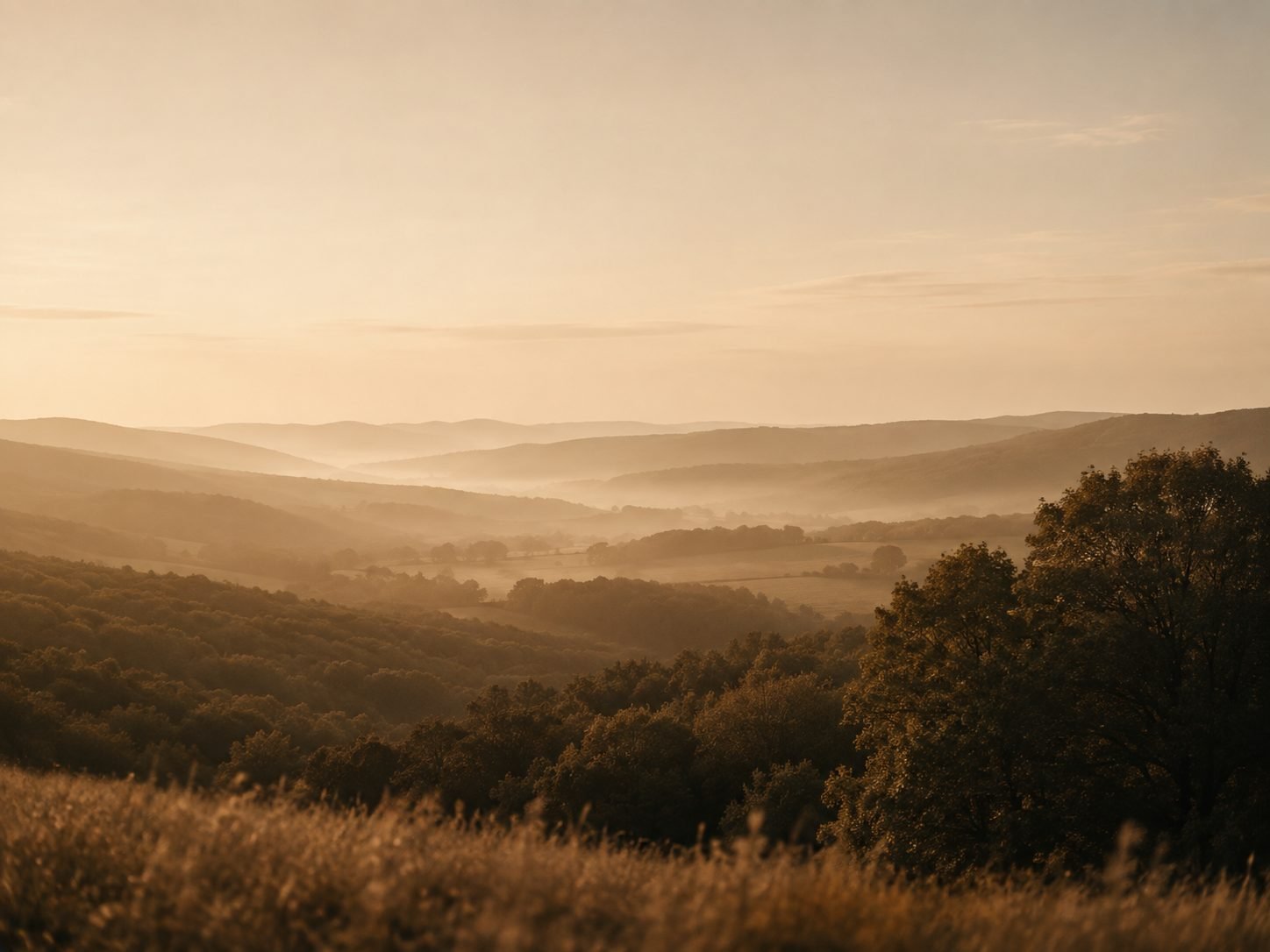 Rogersville, Missouri
